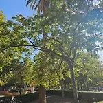 Lounge Garden Sea Mint Fresh * 瓦伦西亚