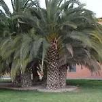 Malvarrosa Βαλένθια