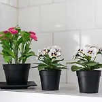 Apartment Mestalla Ideal For Mid-term Valencia