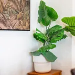 Mestalla Ideal For Mid-term *