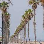 Nautico Junto A La Playa Malvarrosa Valencia