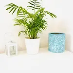 Precioso Playa Pinedo Apartment *