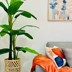 Loft 1 - Space & Conform Close To Center Apartment