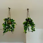 アパート Beautiful Flat Next The バレンシア