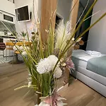 Lounge Garden Sea Mint Fresh * 瓦伦西亚