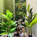 Apartment Cute & Cozy Aparment Near The Historic Center *