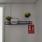 Tucán Valência