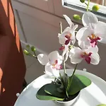 アパート Singularstays Mar44 Terrace