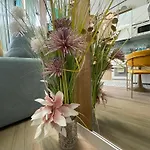 Lounge Garden Sea Mint Fresh *