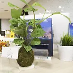 & Co. J. Botanico Boutique Hotel Valencia