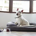 Casual Socarrat Valencia By Casual Hoteles - Adults Only 3*