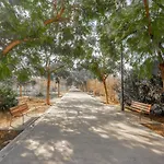 Vlc Yako * Валенсия