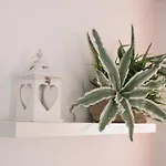 Апартаменты Hogar Vera Apartments&bikes Валенсия