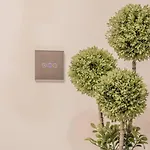 Guillem Jafer - Roig Arena 瓦伦西亚