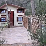 La Casa Del Bosque