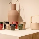 Pepeflats - Eco Puerto - Manolito 3 Apartment