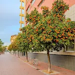 Apartamento The Cabanal House - 10 Min To Ocean, Fastwifi, Ac, Coffee Valencia