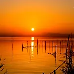 Ross - Flat With The Amenities