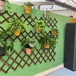 Pearl By The Sea * Valencia