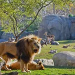 Apartment Parque De Cabecera & Bioparc *