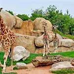 Parque De Cabecera & Bioparc فالنسيا