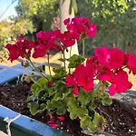 Holiday home Mediterranean House In *