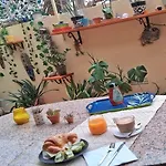 Oasis Epifito Urbano Botanical Wellness Oasis Near Of Arts & Sciencies Valencia