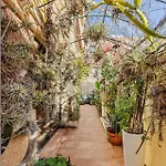 Oasis Epifito Urbano Botanical Wellness Oasis Near Of Arts & Sciencies Homestay Valencia