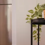 Casa Puerto Isaac Peral Valencia