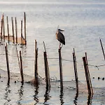 Amazing In With Swimming Pool Appartamento Valenza