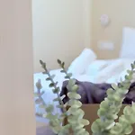 Loft 6 Ejecutivo Premium Y Luminoso By Vidacalma