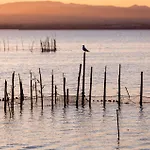 Amazing In With Swimming Pool Appartamento Valenza