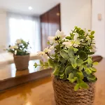 Mediterrani By Concept Flats Appartement Valence