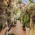 Oasis Epifito Urbano Botanical Wellness Oasis Near Of Arts & Sciencies 民宿 *