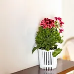 Canyamelar Apartamento Valência