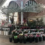 Colon Market Downtown דירה