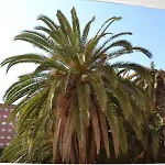 Malvarrosa, Cabanal, Wifi Free. Ca' Micaela. Appartement Valence