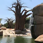 Apartment Cozy In Valencia! Wi-fi !