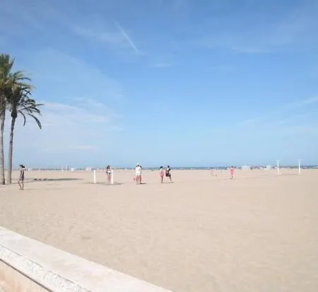 New In The Valensiya