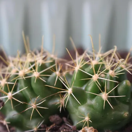 منزل للإقامة New In The *