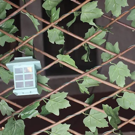 Pansiyon New In The Valensiya