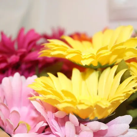 New In The منزل للإقامة فالنسيا