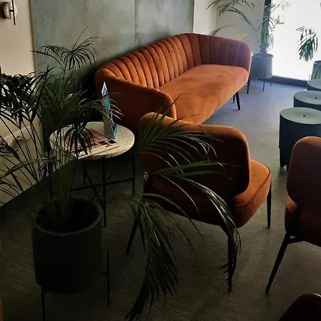Md Modern - Jardines Hotel
