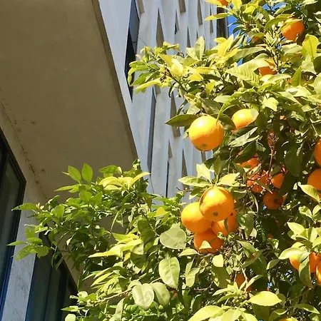 Md Modern - Jardines