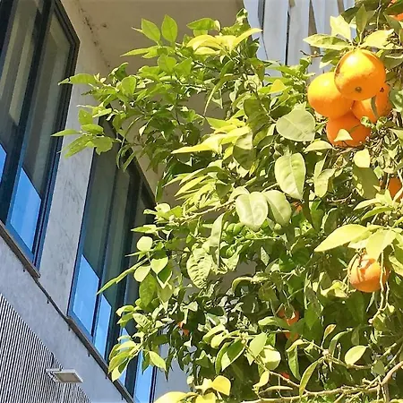 Md Modern - Jardines * Valencie