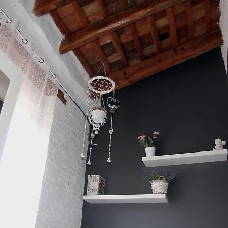 Appartement Penthouse In Historic Center