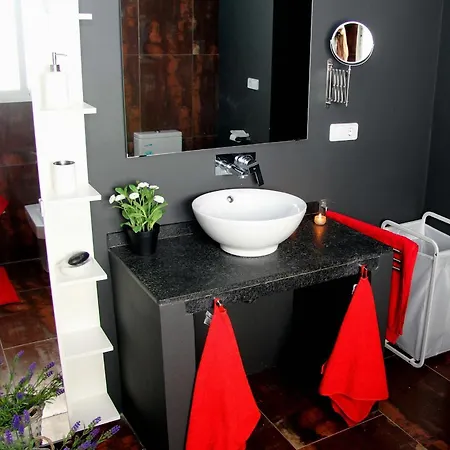 Penthouse In Historic Center Appartement
