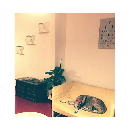 吾家旅馆 瓦伦西亚