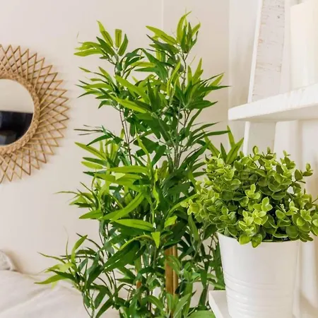 Cosy & Downtown Flat Valencia. Apartamento