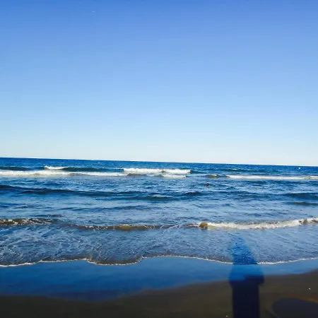 Patacona Power!! アパート